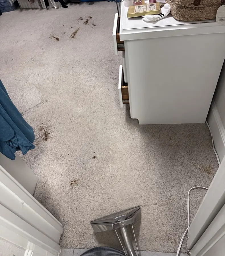 Before: Walk-in closet with ground-in dirt spots