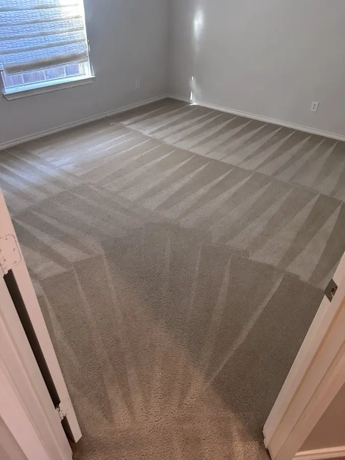 After: Dull, matted carpet brought back