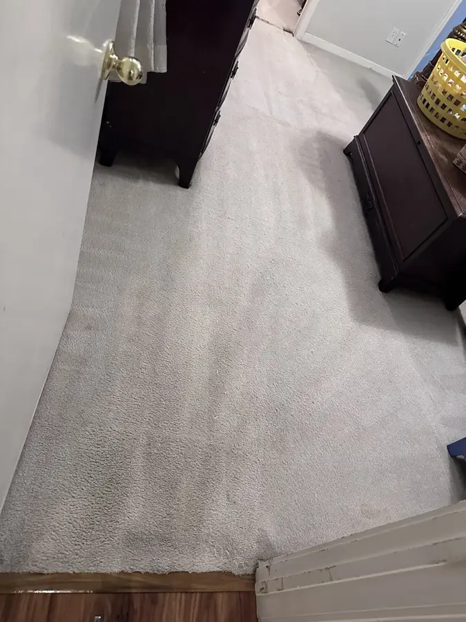 After: Light carpet with a heavy traffic path