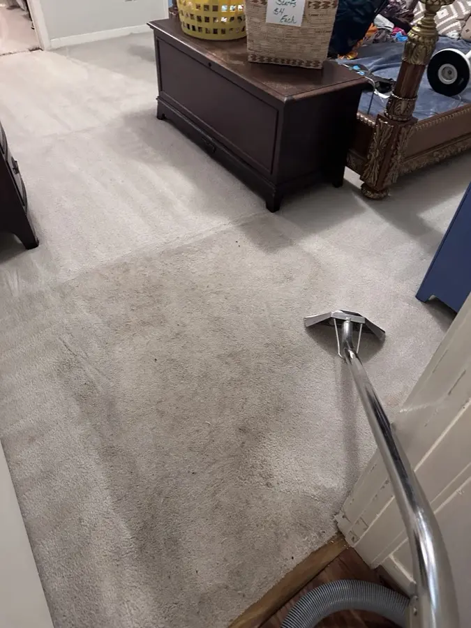 Before: Light carpet with a heavy traffic path